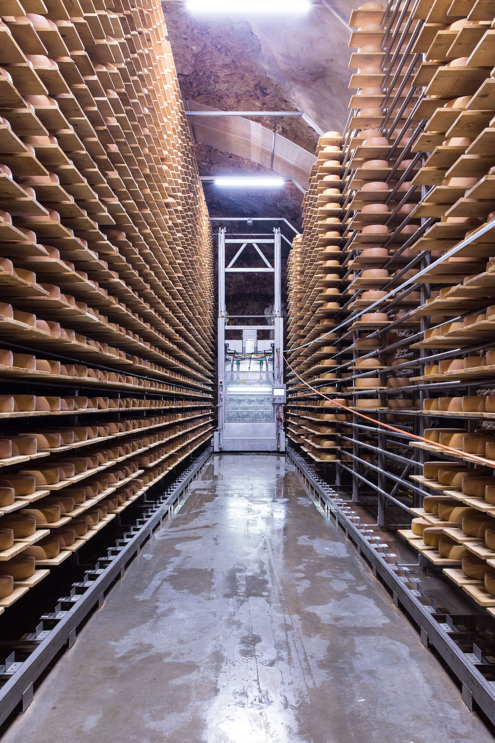 Le Fromage Mûrit Dans Une Cave à Fromage Commerciale